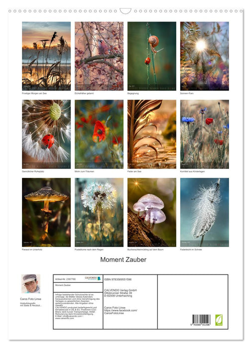 Moment Zauber (CALVENDO Wandkalender 2027)