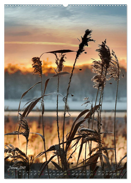 Moment Zauber (CALVENDO Wandkalender 2027)