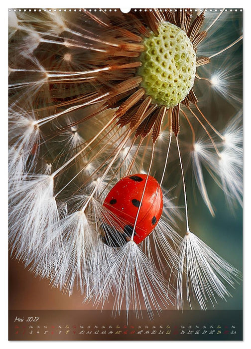 Moment Zauber (CALVENDO Wandkalender 2027)