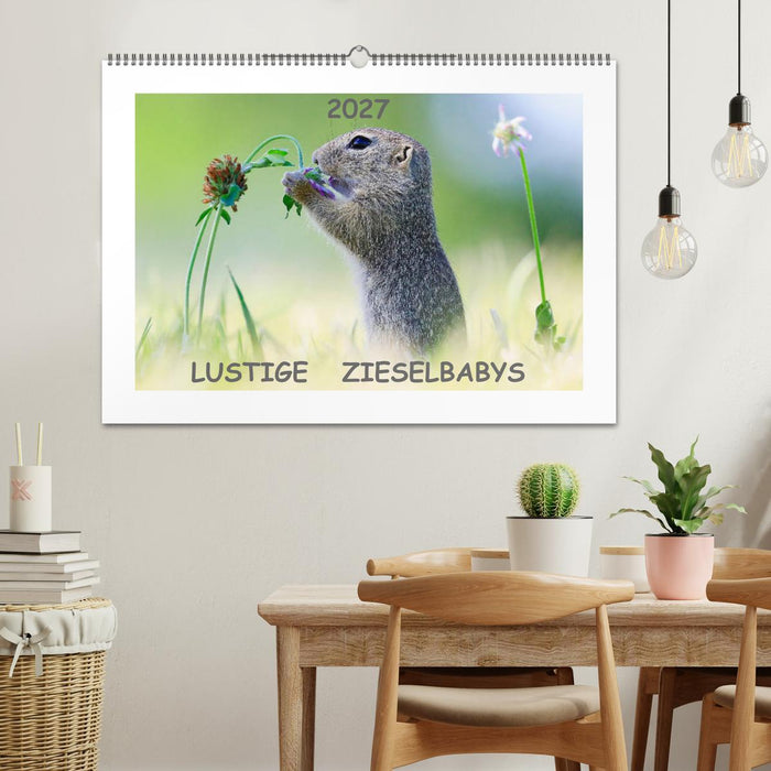 Lustige Zieselbabys (CALVENDO Wandkalender 2027)