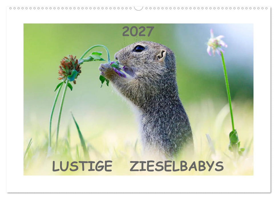 Lustige Zieselbabys (CALVENDO Wandkalender 2027)