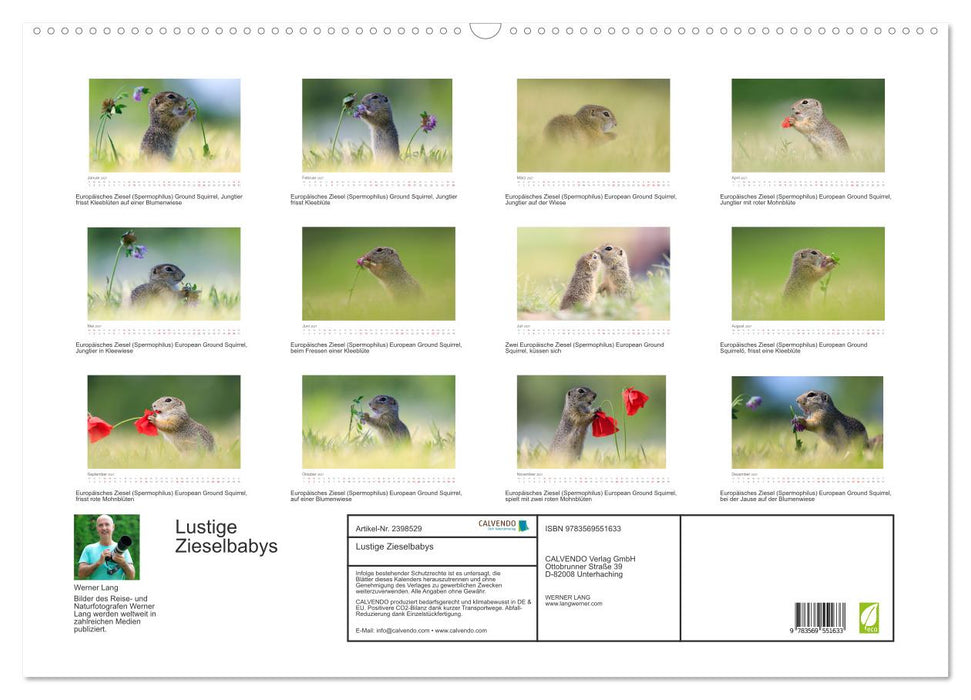 Lustige Zieselbabys (CALVENDO Wandkalender 2027)