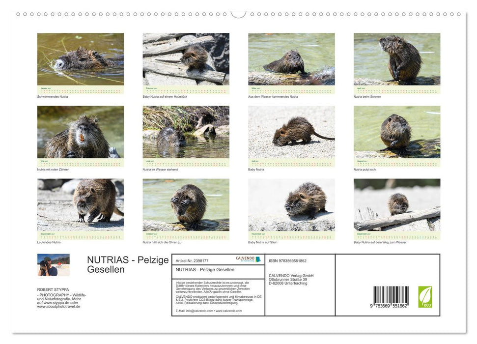 NUTRIAS - Pelzige Gesellen (CALVENDO Premium Wandkalender 2027)