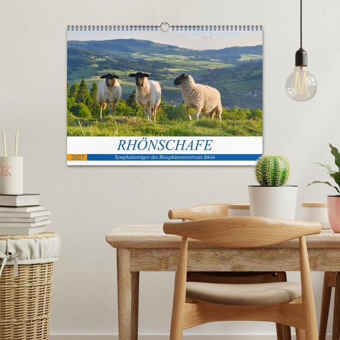 Rhönschafe - Symphatieträger des Biosphärenreservats Rhön (CALVENDO Wandkalender 2027)