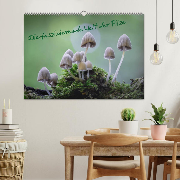 Die faszinierende Welt der Pilze (CALVENDO Wandkalender 2027)