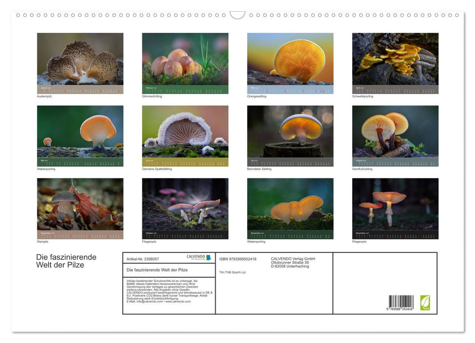 Die faszinierende Welt der Pilze (CALVENDO Wandkalender 2027)