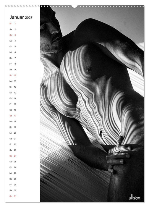 Männer AKT abstrakt (CALVENDO Wandkalender 2027)