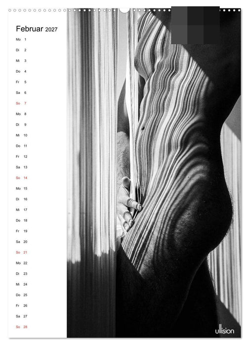 Männer AKT abstrakt (CALVENDO Wandkalender 2027)