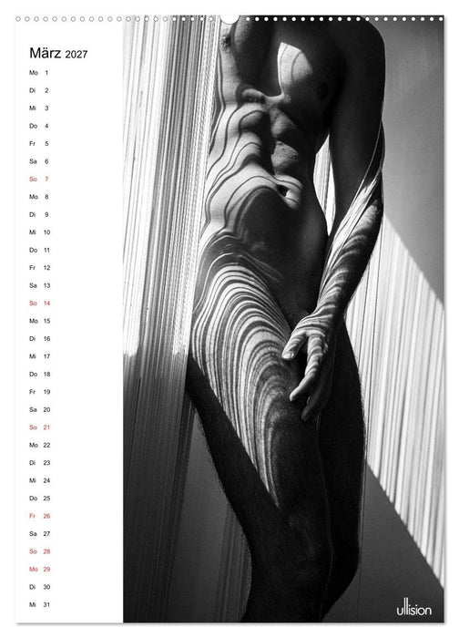 Männer AKT abstrakt (CALVENDO Wandkalender 2027)