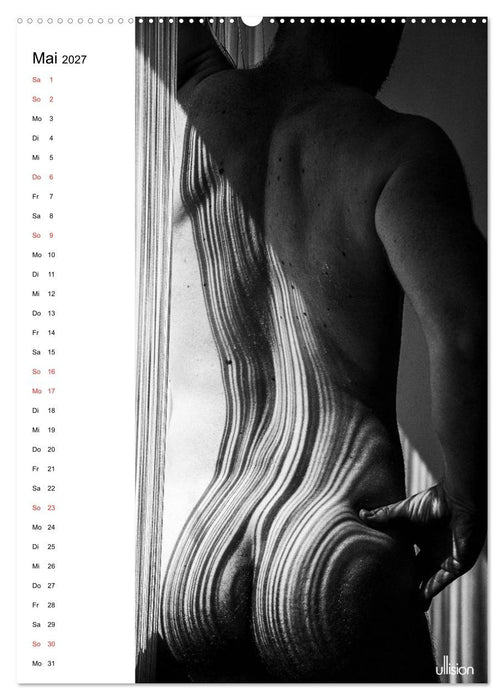 Männer AKT abstrakt (CALVENDO Wandkalender 2027)