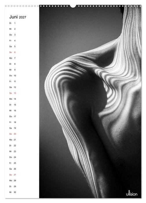 Männer AKT abstrakt (CALVENDO Wandkalender 2027)