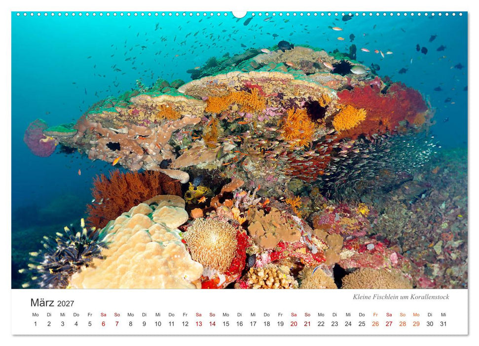 Unterwasser - eine bunte Welt (CALVENDO Premium Wandkalender 2027)