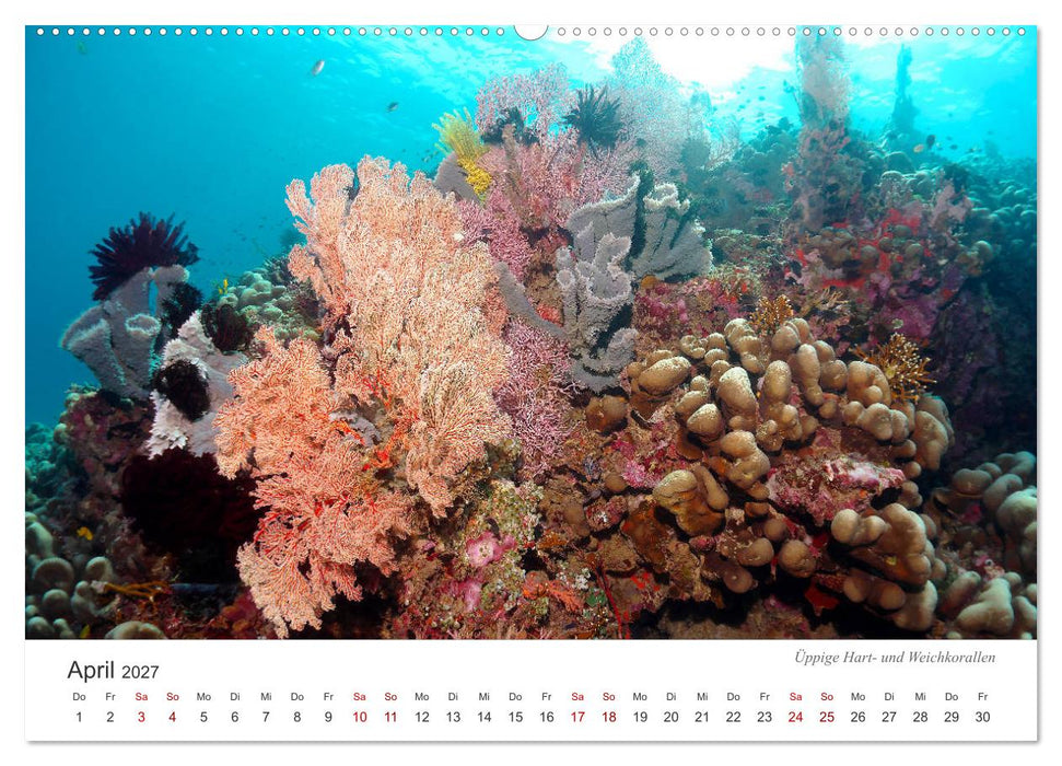 Unterwasser - eine bunte Welt (CALVENDO Premium Wandkalender 2027)