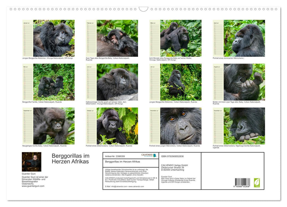 Berggorillas im Herzen Afrikas (CALVENDO Wandkalender 2027)
