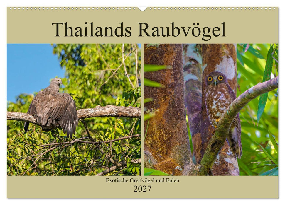 THAILANDS RAUBVÖGEL Exotische Greifvögel und Eulen (CALVENDO Wandkalender 2027)