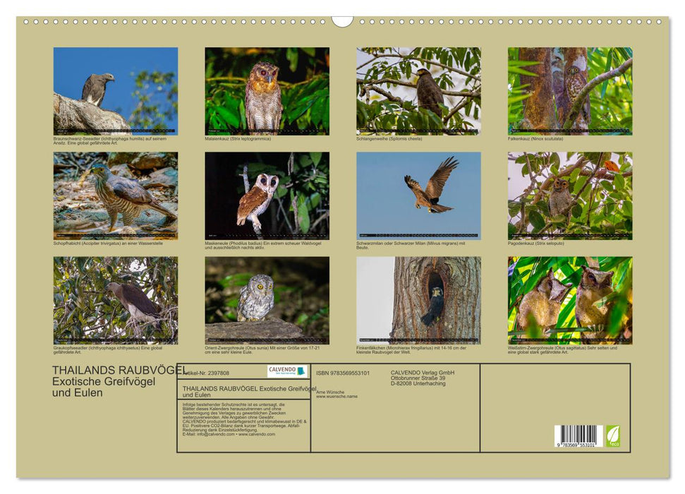 THAILANDS RAUBVÖGEL Exotische Greifvögel und Eulen (CALVENDO Wandkalender 2027)