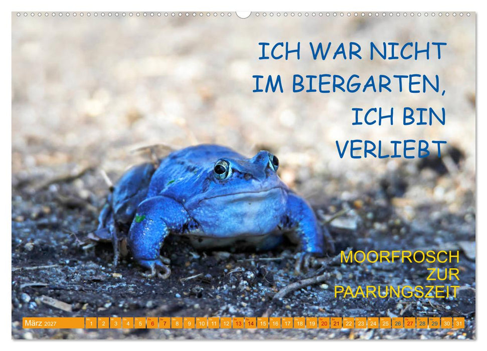 Freude und Spaß an Tierfotos (CALVENDO Premium Wandkalender 2027)