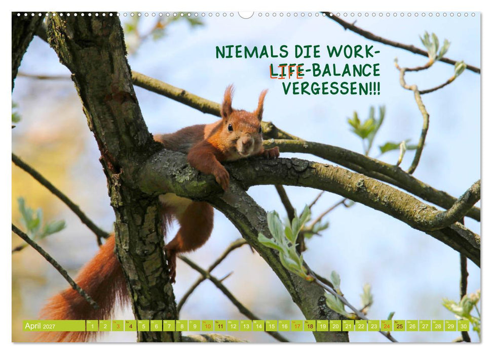 Freude und Spaß an Tierfotos (CALVENDO Premium Wandkalender 2027)