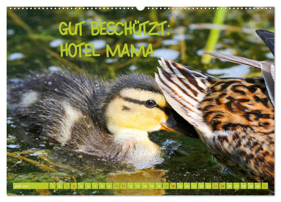 Freude und Spaß an Tierfotos (CALVENDO Premium Wandkalender 2027)