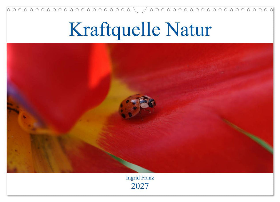 Kraftquelle Natur (CALVENDO Wandkalender 2027)