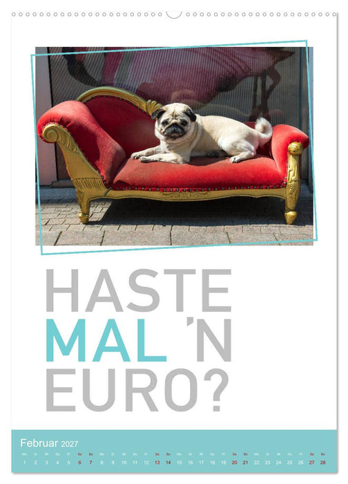 Tierisch bekloppt! (CALVENDO Wandkalender 2027)