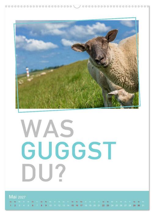 Tierisch bekloppt! (CALVENDO Wandkalender 2027)