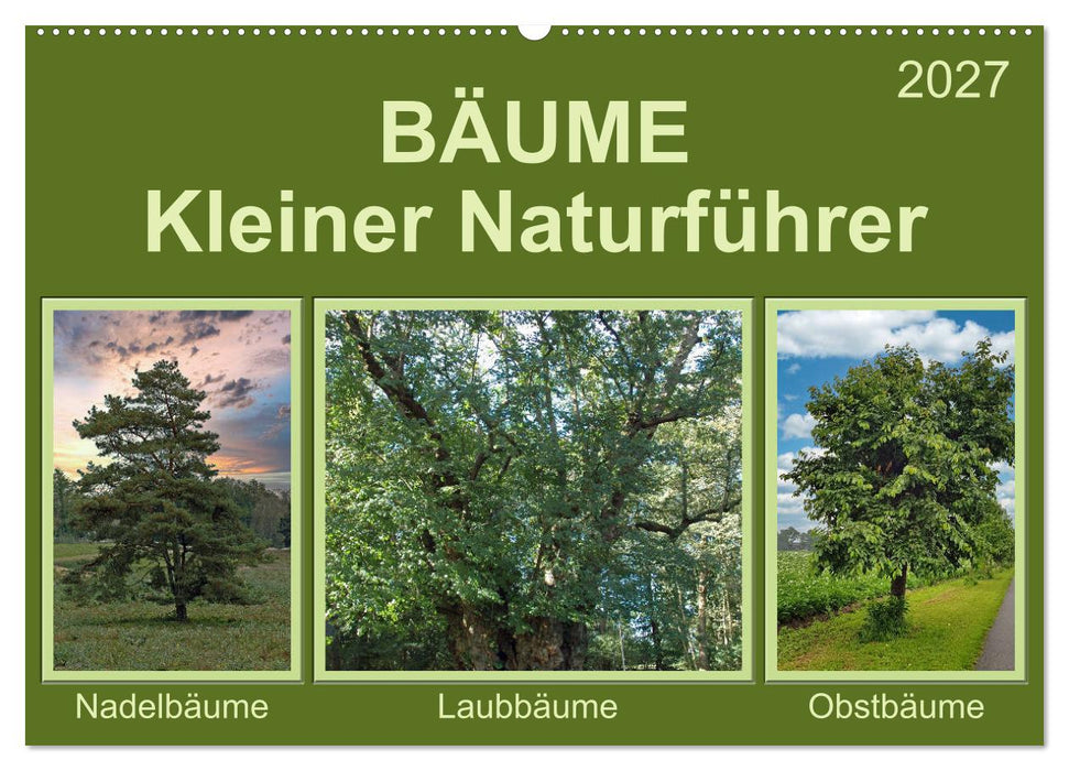 Bäume Kleiner Naturführer (CALVENDO Wandkalender 2027)