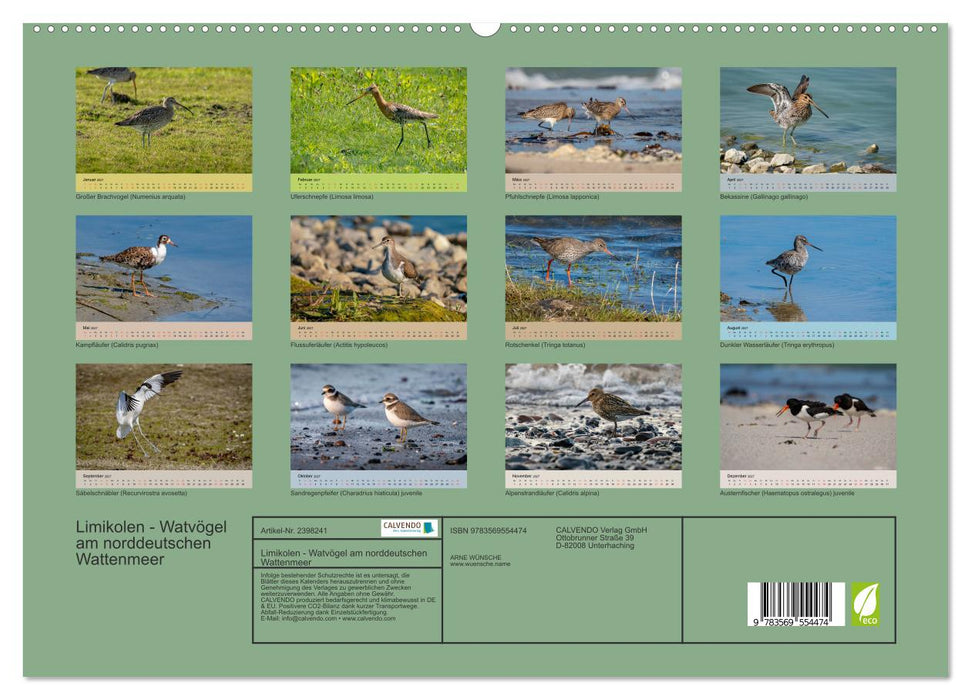 Limikolen - Watvögel am norddeutschen Wattenmeer (CALVENDO Premium Wandkalender 2027)