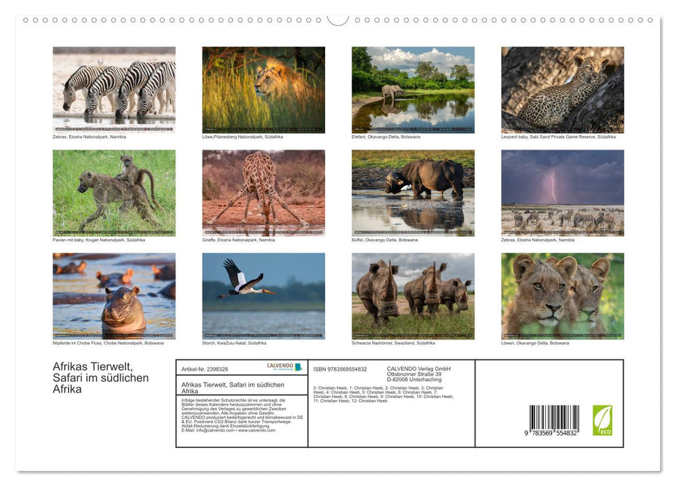 Afrikas Tierwelt, Safari im südlichen Afrika (CALVENDO Premium Wandkalender 2027)