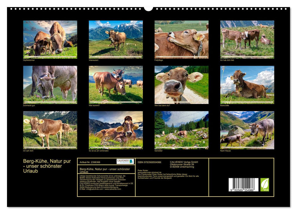 Berg-Kühe, Natur pur - unser schönster Urlaub (CALVENDO Premium Wandkalender 2027)