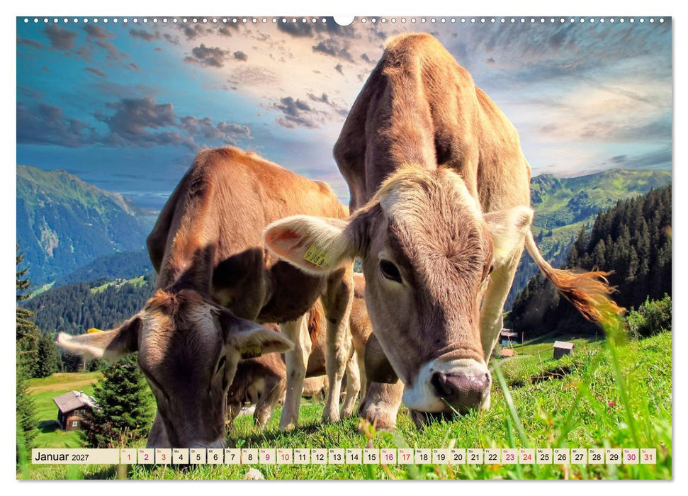 Berg-Kühe, Natur pur - unser schönster Urlaub (CALVENDO Premium Wandkalender 2027)