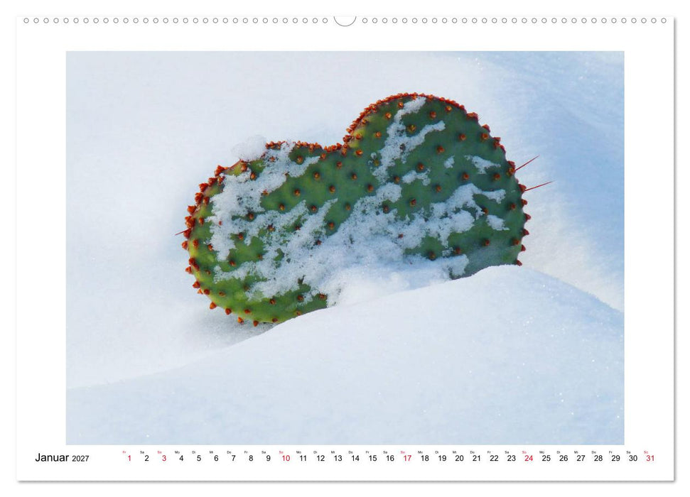 Herzensfreude (CALVENDO Premium Wandkalender 2027)