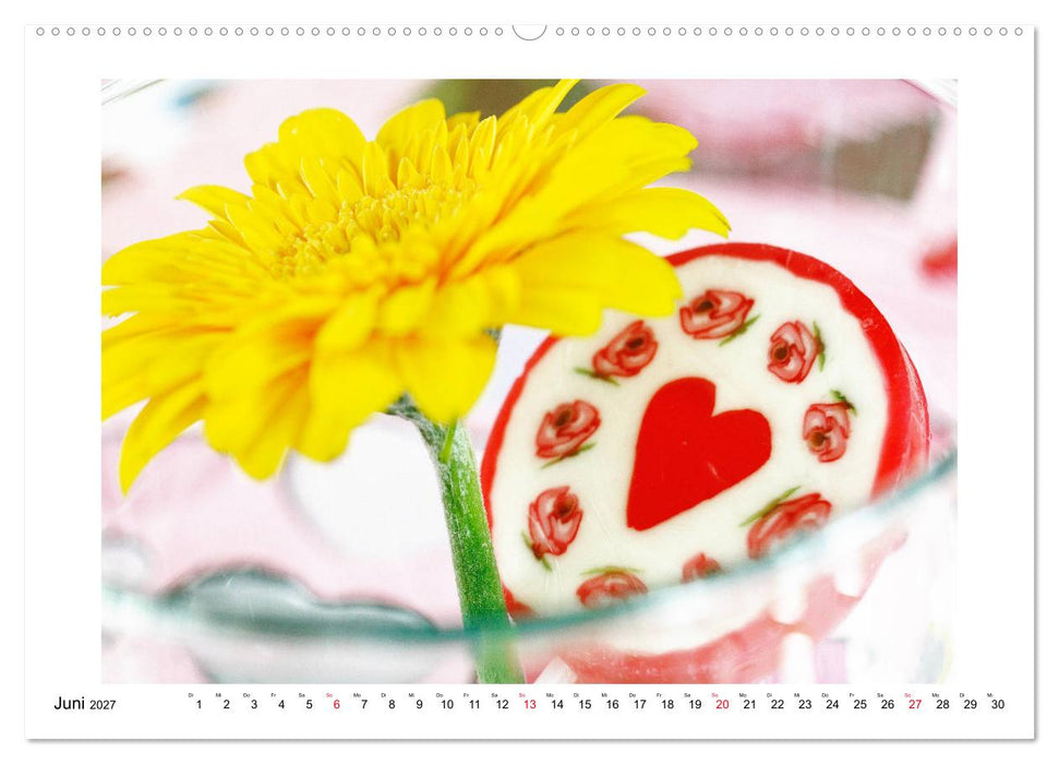 Herzensfreude (CALVENDO Premium Wandkalender 2027)