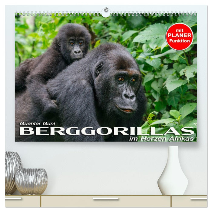 Berggorillas im Herzen Afrikas (CALVENDO Premium Wandkalender 2027)