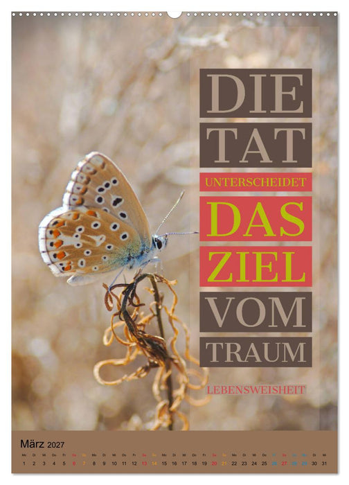 Aktiviere Deine Motivation Weisheiten und Sprüche (CALVENDO Wandkalender 2027)