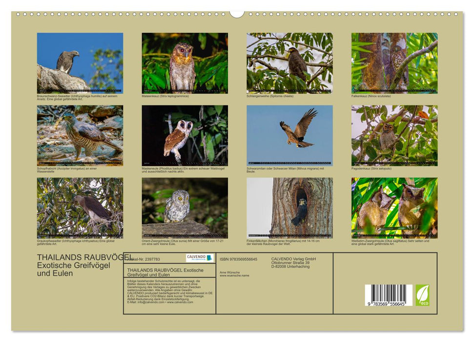 THAILANDS RAUBVÖGEL Exotische Greifvögel und Eulen (CALVENDO Premium Wandkalender 2027)