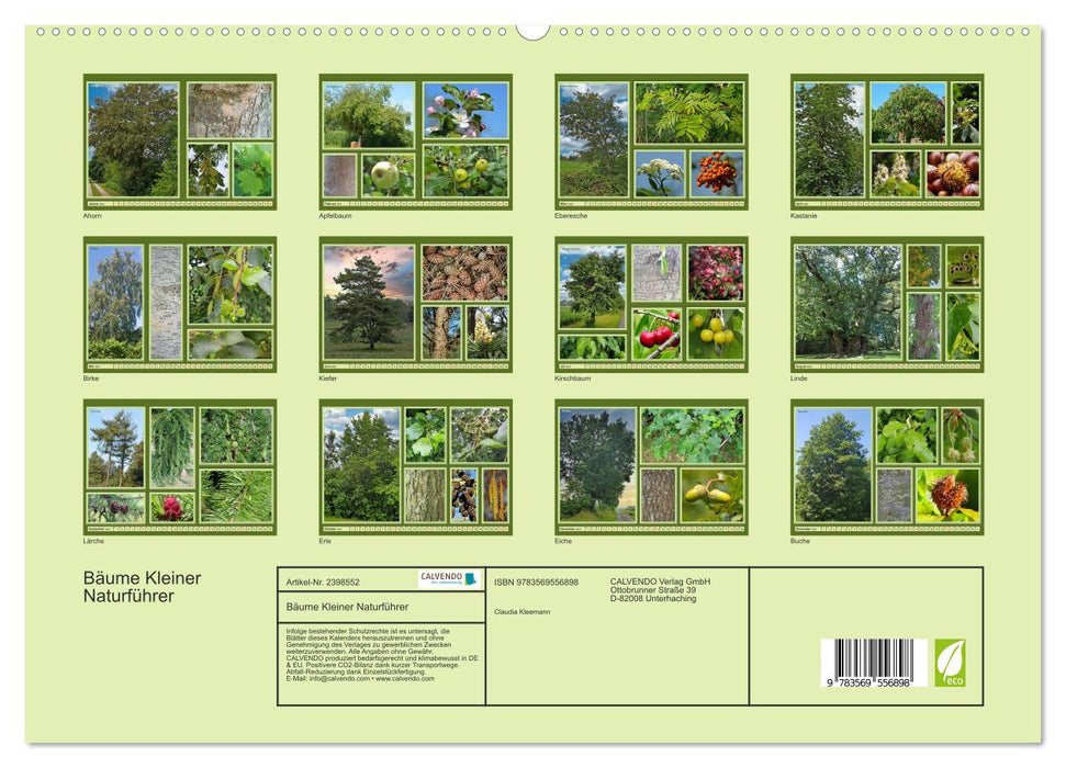 Bäume Kleiner Naturführer (CALVENDO Premium Wandkalender 2027)