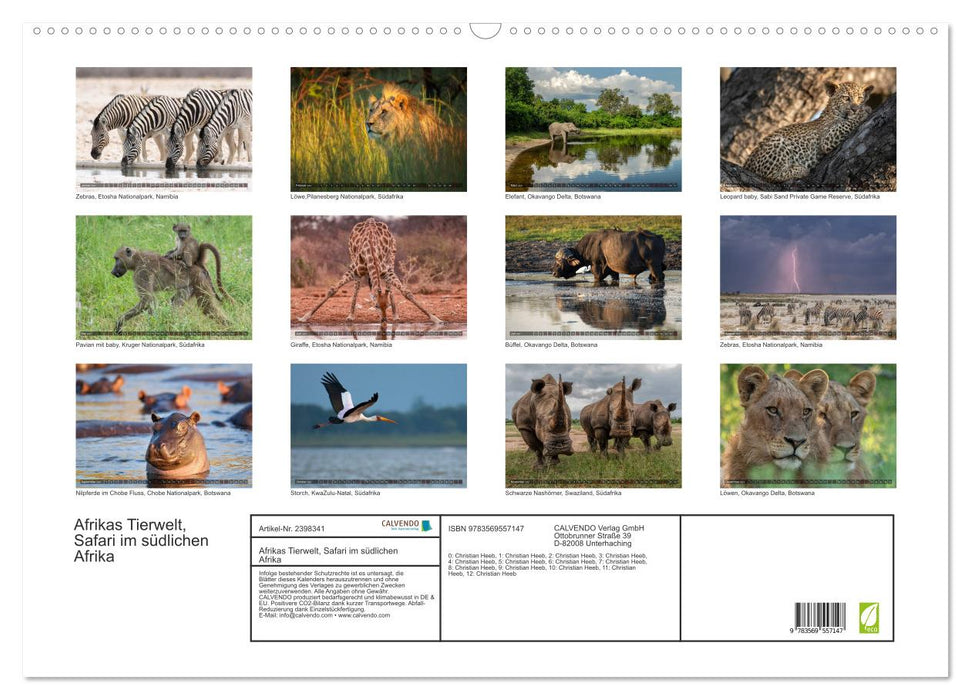 Afrikas Tierwelt, Safari im südlichen Afrika (CALVENDO Wandkalender 2027)