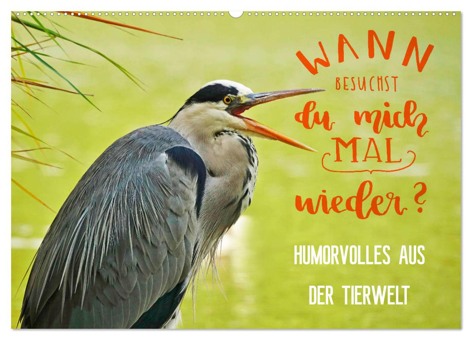 Humorvolles aus der Tierwelt (CALVENDO Wandkalender 2027)
