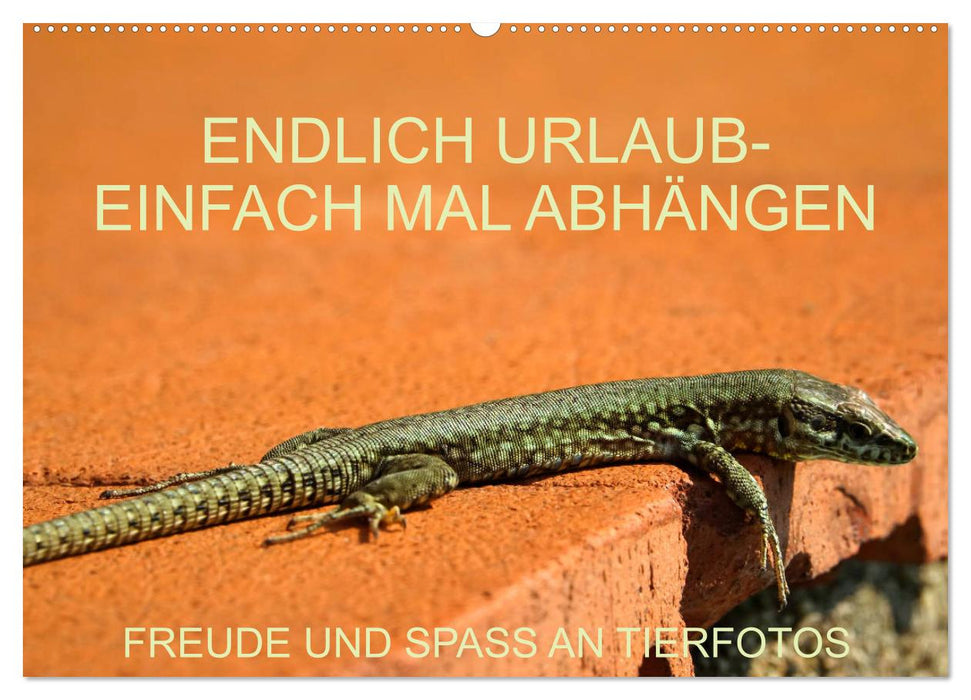 Freude und Spaß an Tierfotos (CALVENDO Wandkalender 2027)