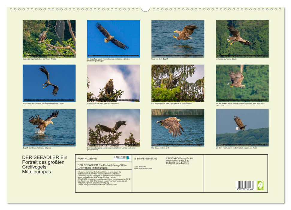 DER SEEADLER Ein Portrait des größten Greifvogels Mitteleuropas (CALVENDO Wandkalender 2027)