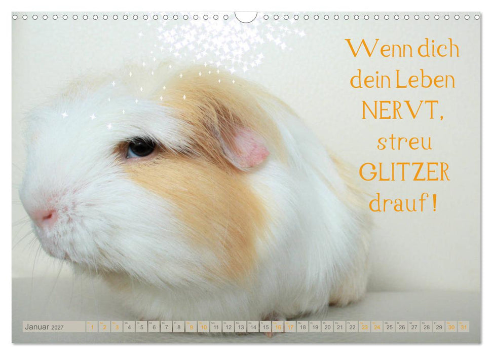 QUIETSCHVERGNÜGT durch das Jahr 2027 (CALVENDO Wandkalender 2027)