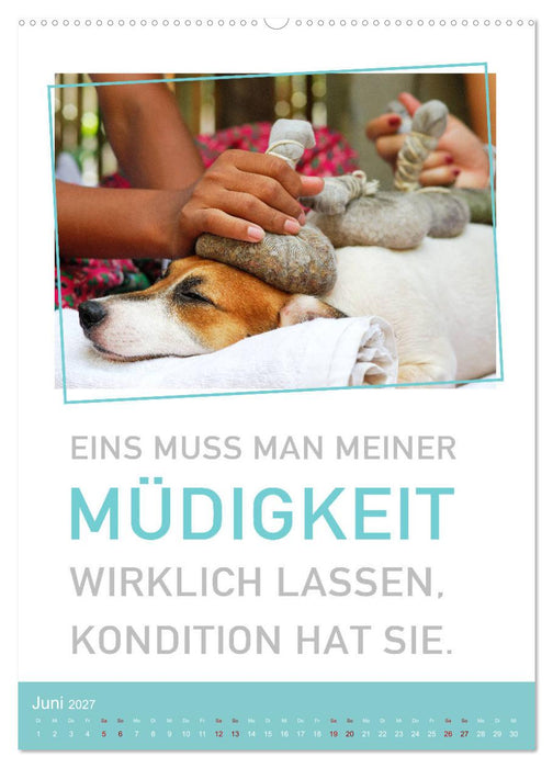 Tierisch bekloppt! (CALVENDO Premium Wandkalender 2027)