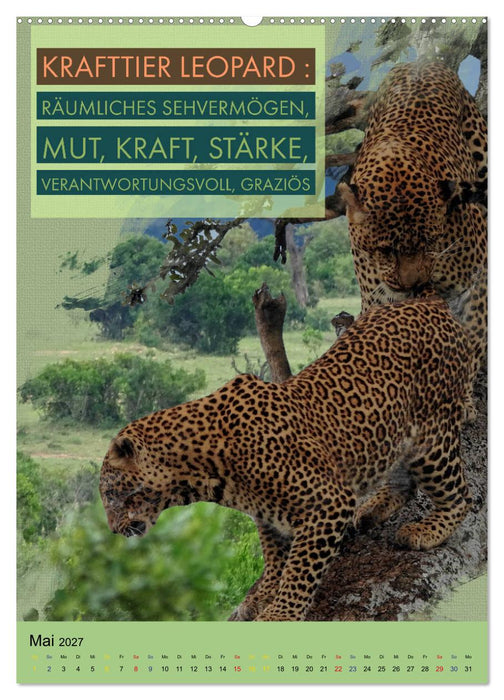 Afrikanische Krafttiere und deren Bedeutung (CALVENDO Premium Wandkalender 2027)