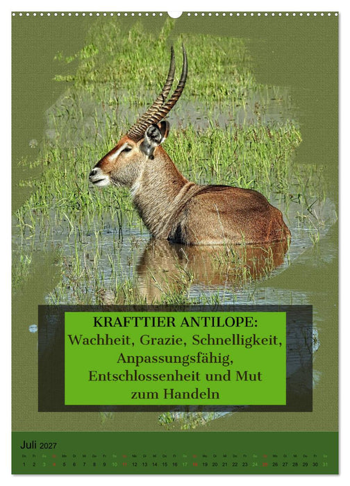 Afrikanische Krafttiere und deren Bedeutung (CALVENDO Premium Wandkalender 2027)