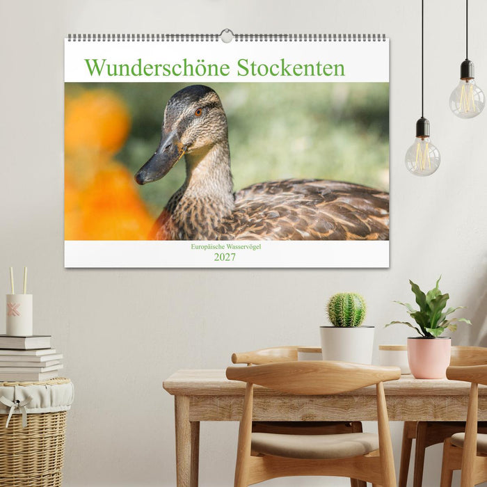 Wunderschöne Stockenten - Europäische Wasservögel (CALVENDO Wandkalender 2027)