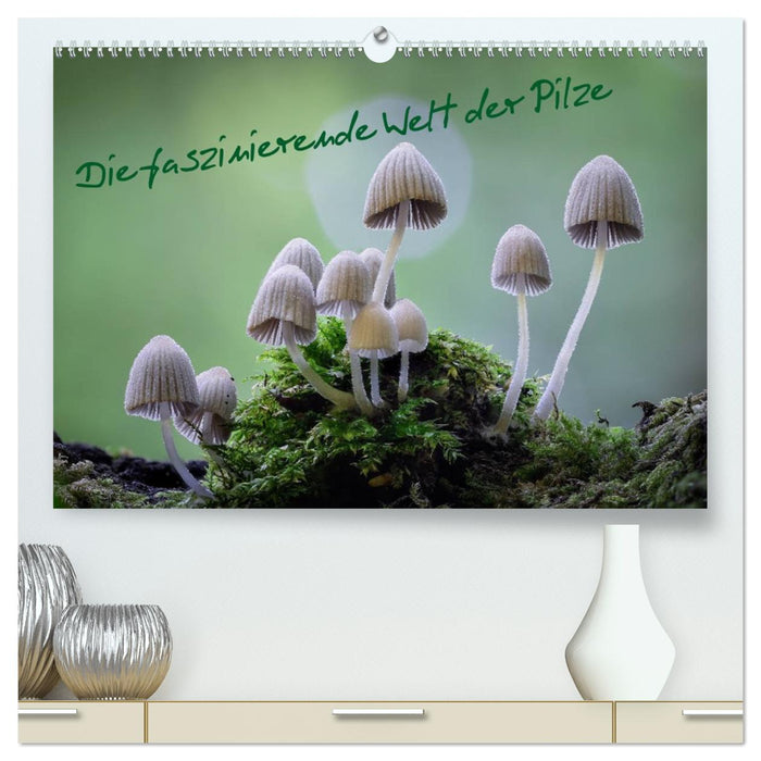 Die faszinierende Welt der Pilze (CALVENDO Premium Wandkalender 2027)