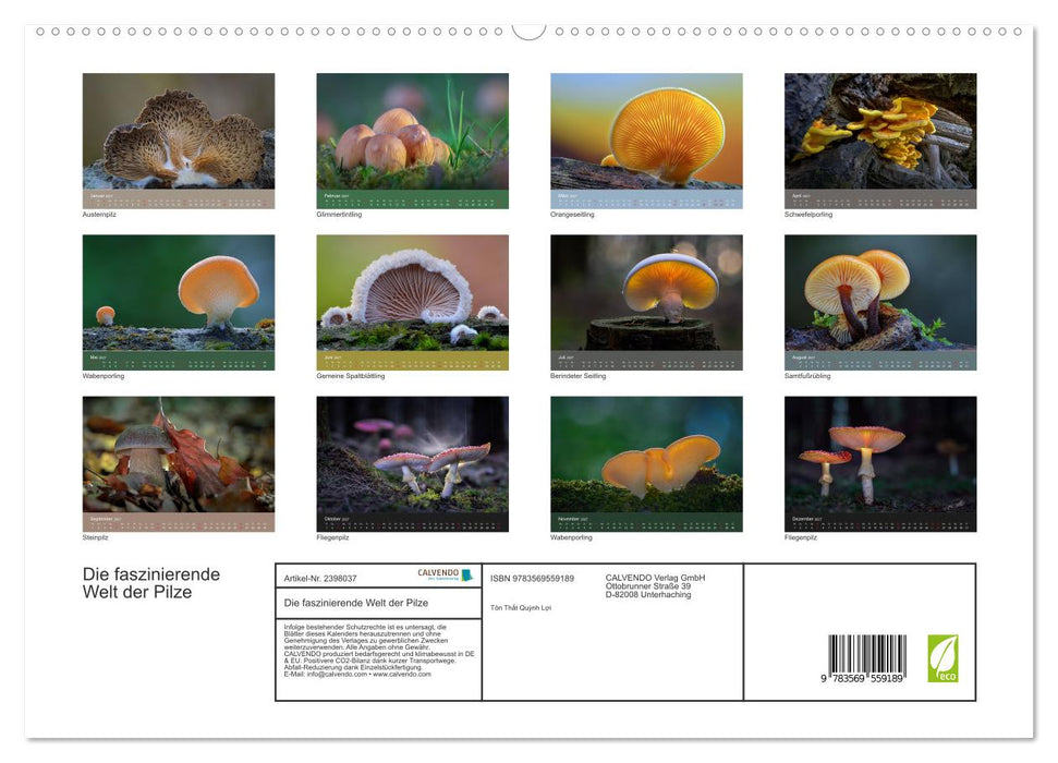 Die faszinierende Welt der Pilze (CALVENDO Premium Wandkalender 2027)