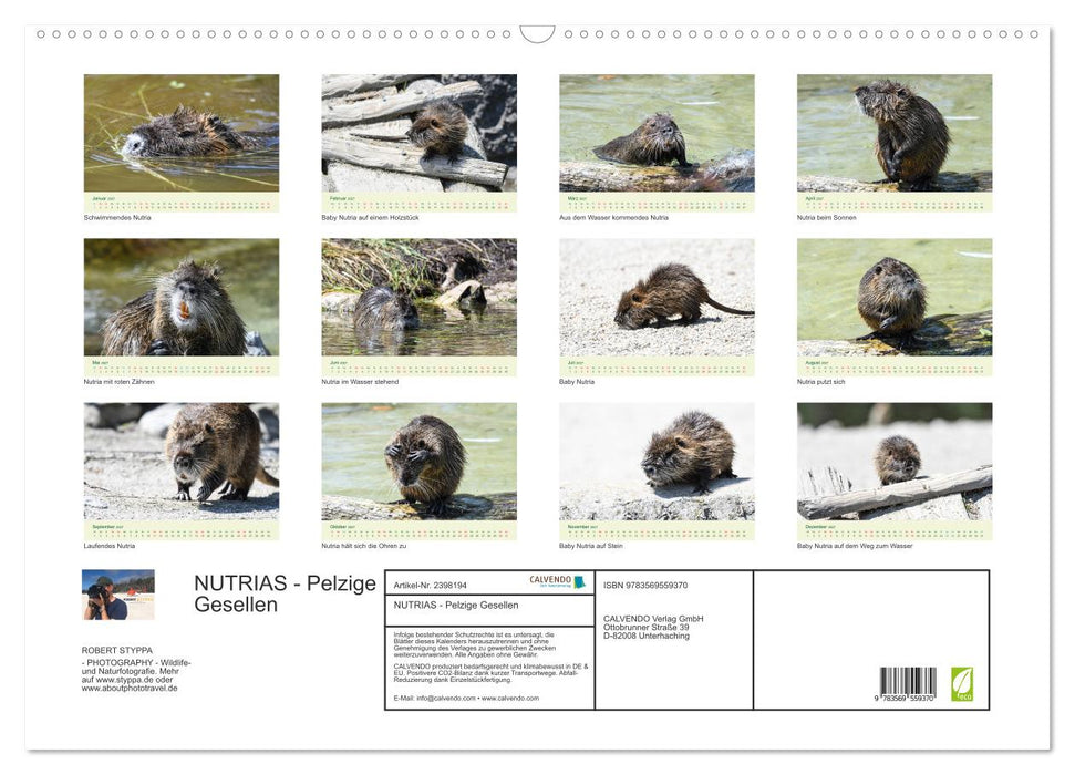 NUTRIAS - Pelzige Gesellen (CALVENDO Wandkalender 2027)