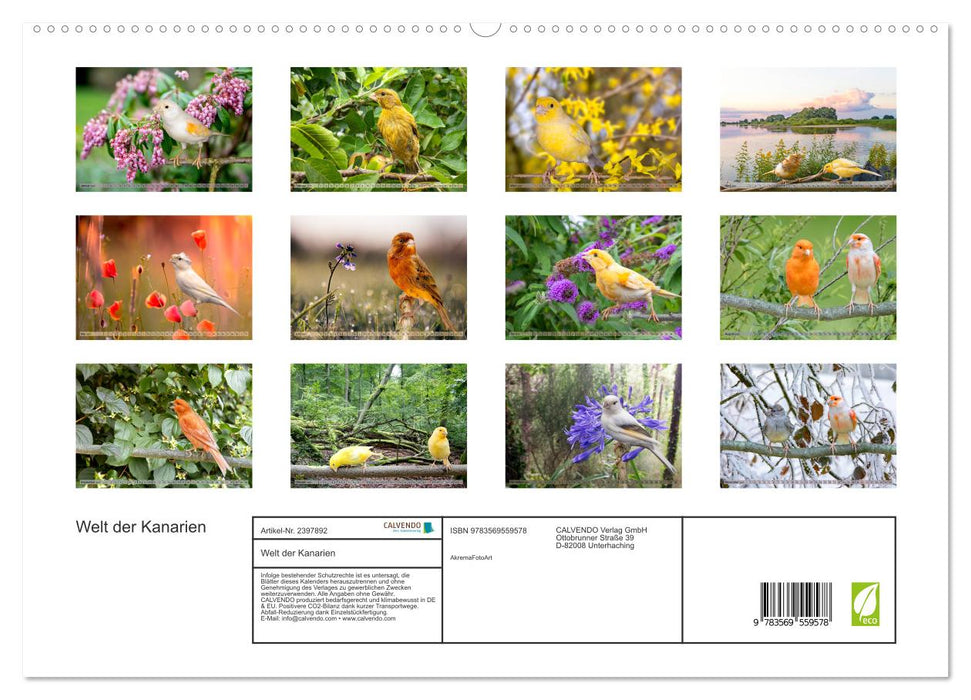 Welt der Kanarien (CALVENDO Premium Wandkalender 2027)